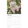 image Maltese 2025 Wall Calendar Second Alternate Image width=&quot;1000&quot; height=&quot;1000&quot;