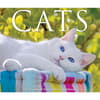 image Cats 2026 Desk Calendar Fourth Alternate Image