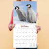 image Baby Animals 2025 Wall Calendar Fourth Alternate Image width=&quot;1000&quot; height=&quot;1000&quot;