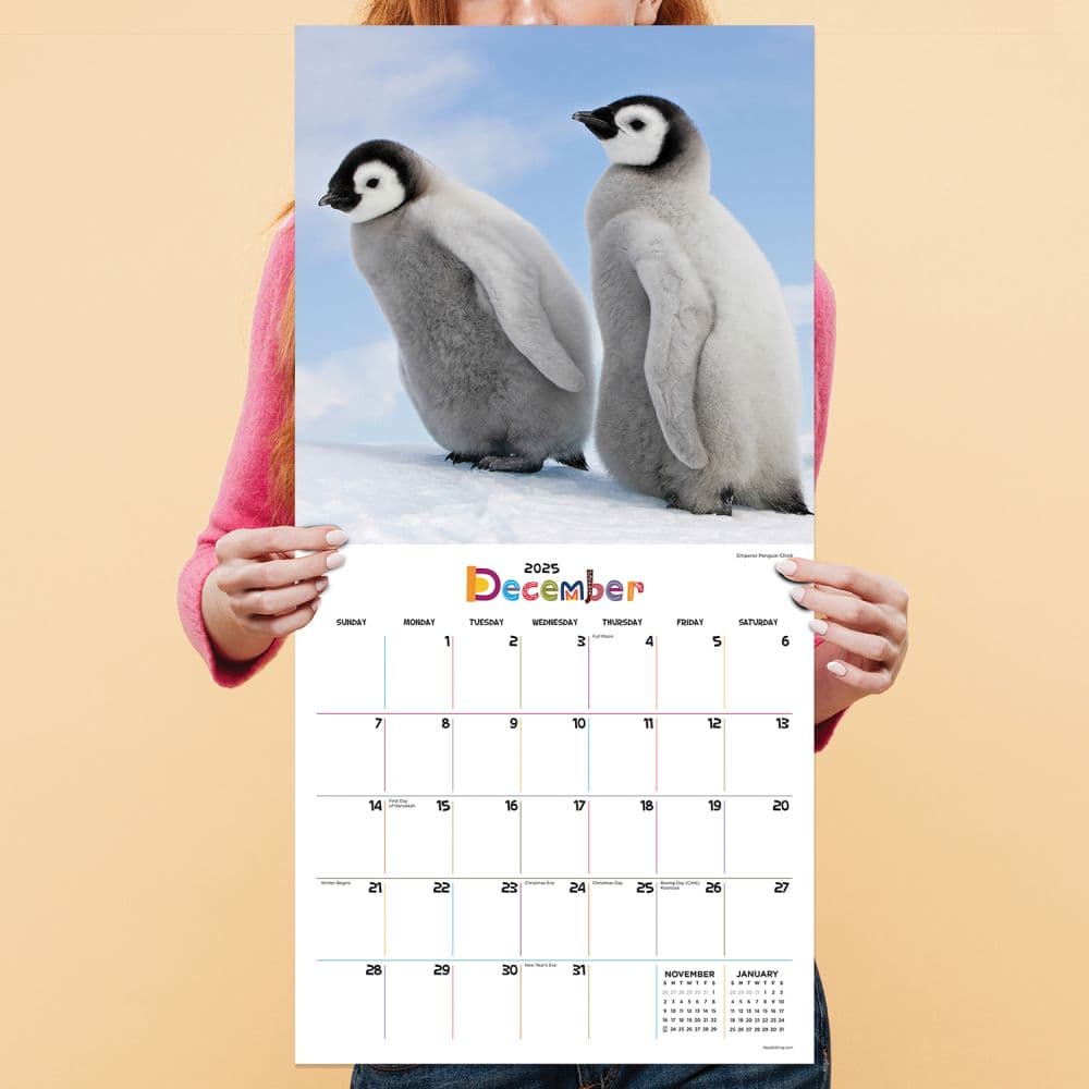 Baby Animals 2025 Wall Calendar