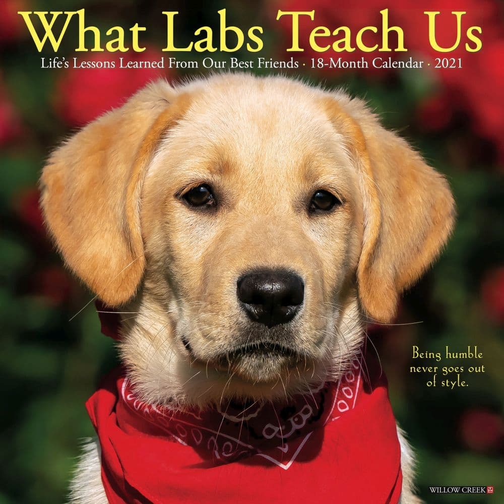 What Labs Teach Us Wall Calendar