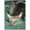 image Cats We Love Special Edition 2025 Wall Calendar Third Alternate Image width=&quot;1000&quot; height=&quot;1000&quot;