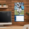 image NFL Indianapolis Colts 2025 Mini Wall Calendar