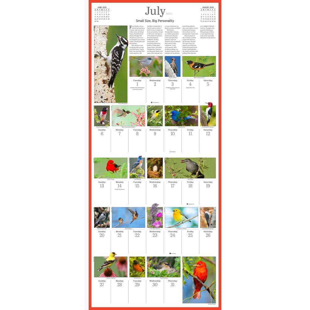 Audubon 365 Songbirds 2025 Wall Calendar Alt3