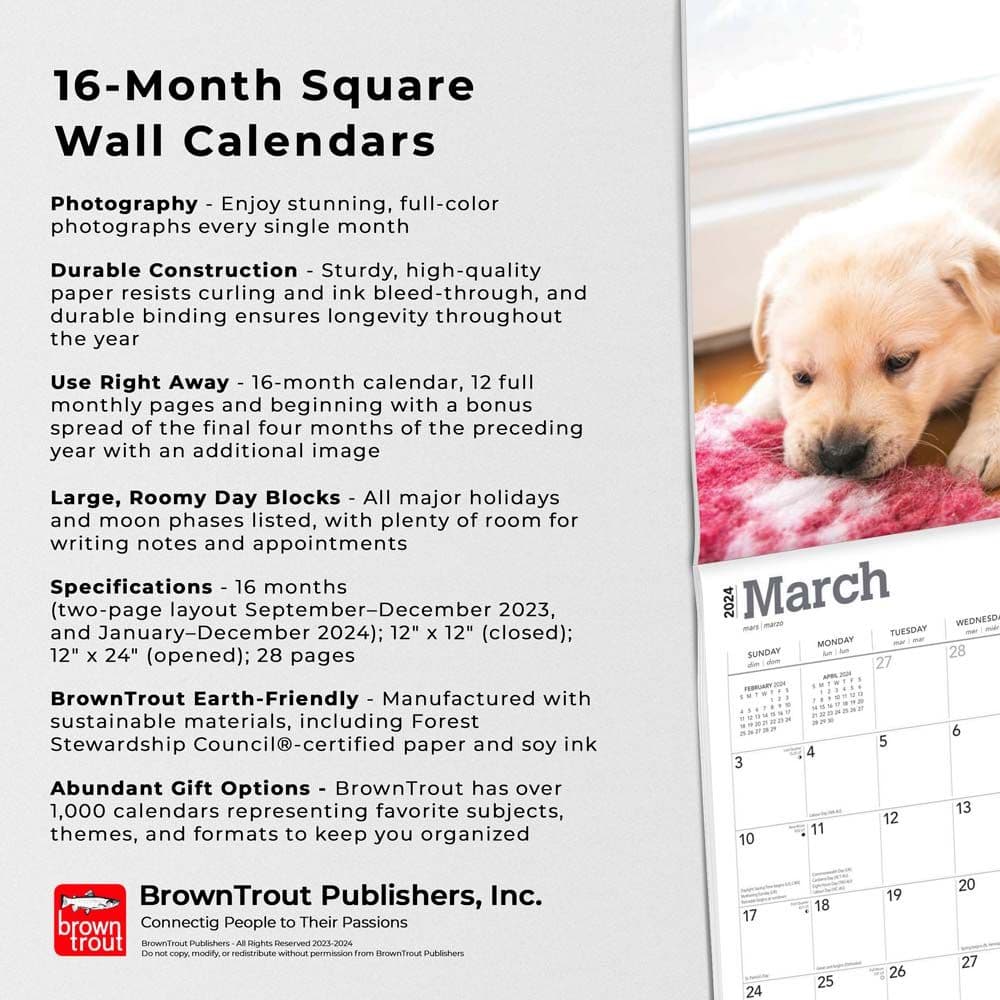 Yellow Lab Retriever Puppies 2024 Wall Calendar Fourth Alternate Image width=&quot;1000&quot; height=&quot;1000&quot;