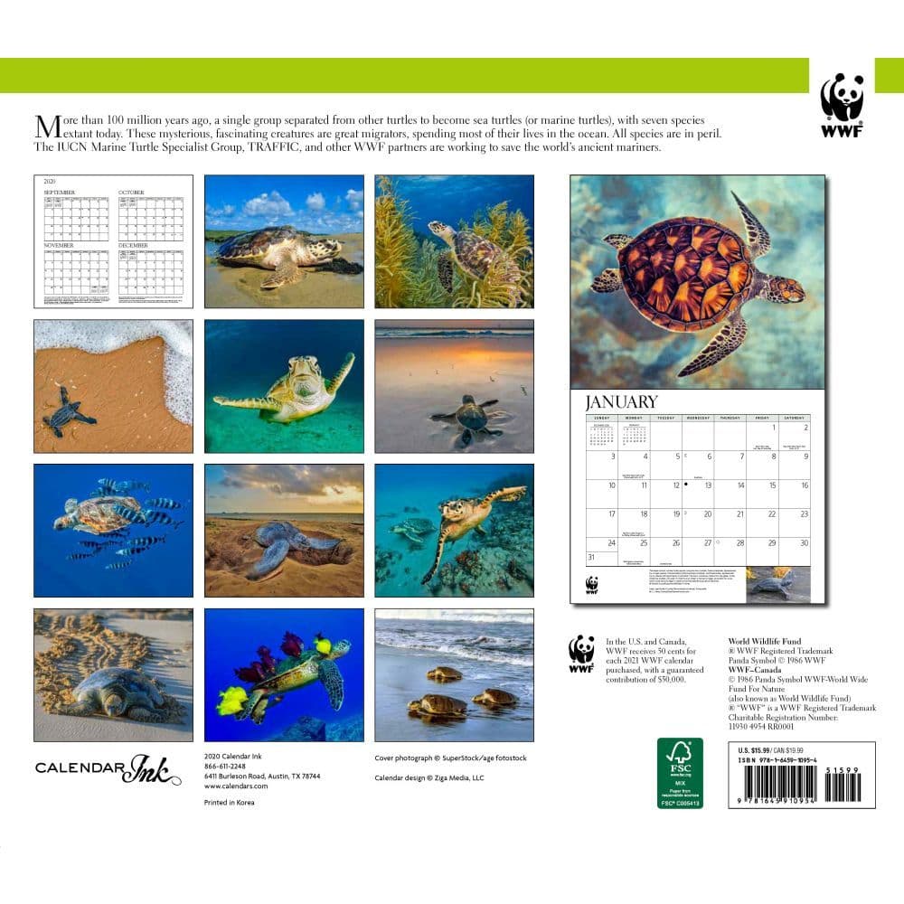 Sea Turtles WWF Wall Calendar