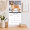 image Golden Retrievers Photo 2026 Wall Calendar_ALT4