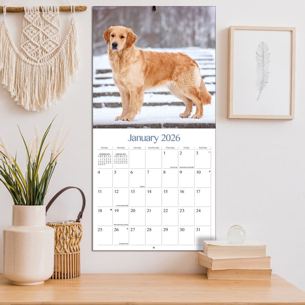 Golden Retrievers Photo 2026 Wall Calendar_ALT4