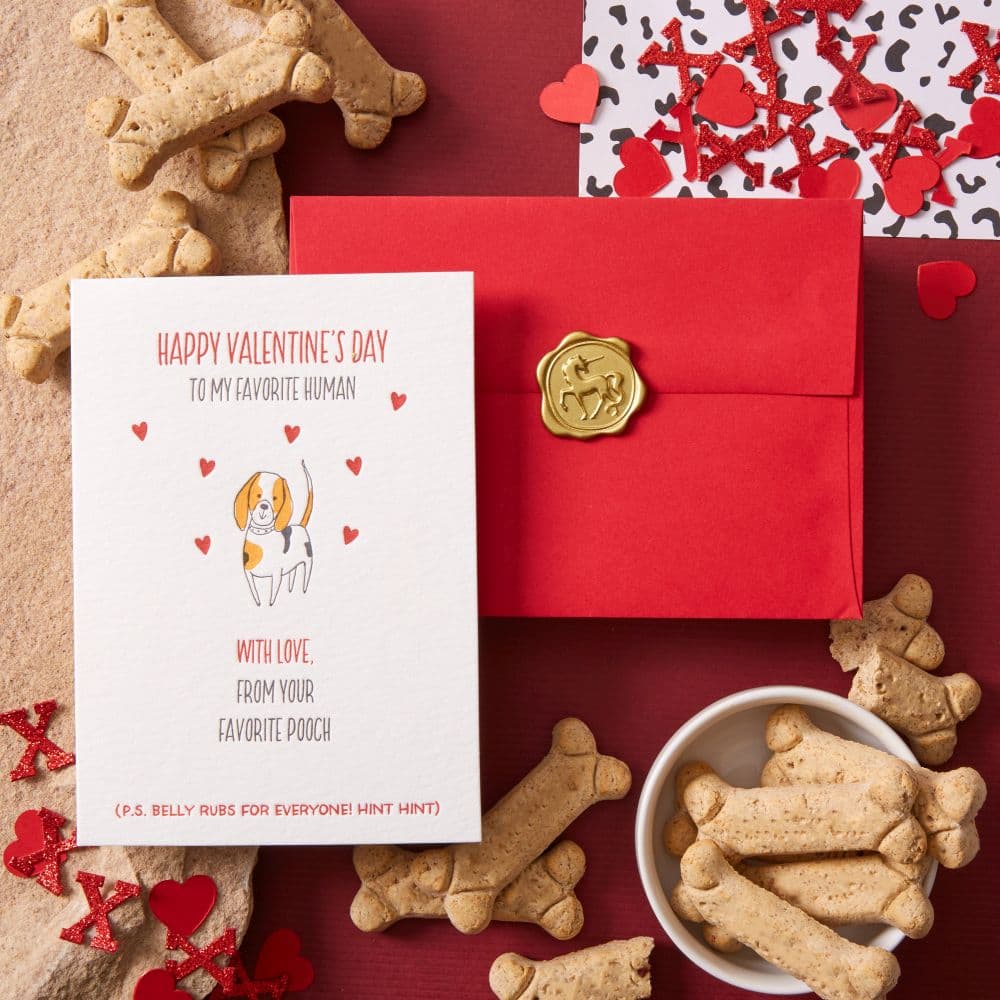 From Your Favorite Pooch Valentine's Day Card Seventh Alternate Image width="1000" height="1000"