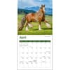 image Horses 2025 Mini Wall Calendar Third Alternate Image width="1000" height="1000"