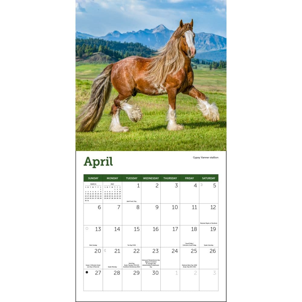 Horses 2025 Mini Wall Calendar Third Alternate Image width="1000" height="1000"