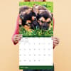 image Dog Dreams 2025 Wall Calendar Alt4