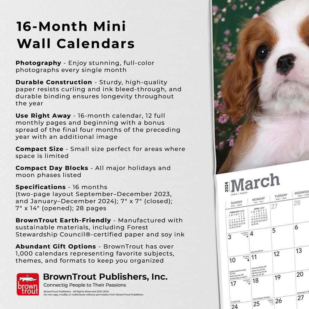 Cavalier King Charles Puppies 2024 Mini Wall Calendar Alternate Image 4