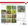 image Hummingbirds WWF 2024 Wall Calendar Alternate Image 1