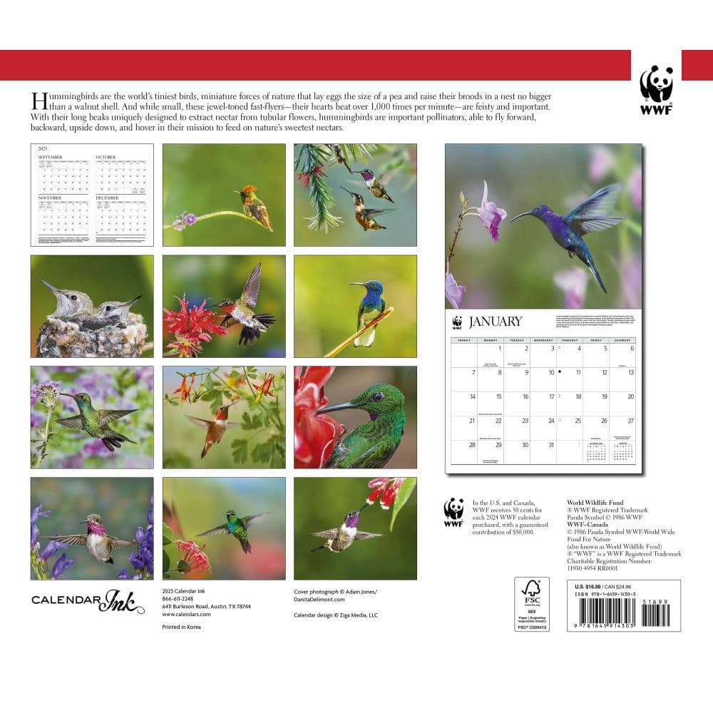 Hummingbirds WWF 2024 Wall Calendar Alternate Image 1