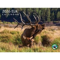 image Elk 2026 Wall Calendar Main Product Image