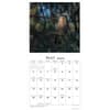 image Soul of the Forest 2024 Wall Calendar Alt3