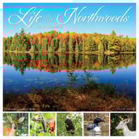 image Life in the Northwoods 2026 Wall Calendar Main Image