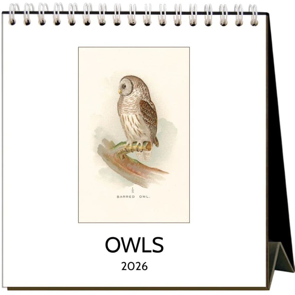 Owls 2026 Easel Desk Calendar Main Product Image