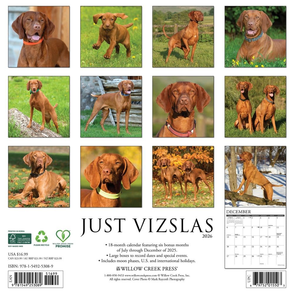 Just Vizslas 2026 Wall Calendar First Alternate Image