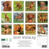image Just Vizslas 2026 Wall Calendar First Alternate Image