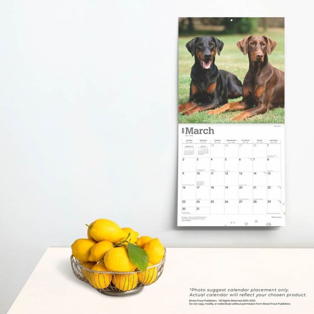 Dobermans 2025 Wall Calendar Fourth Alternate Image