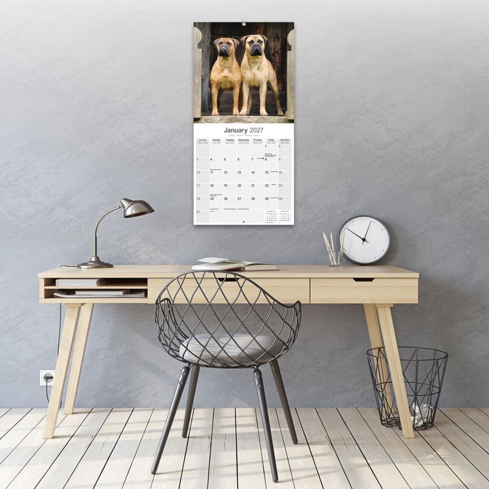 Bull Mastiff 2027 Wall Calendar Fifth Alternate Image