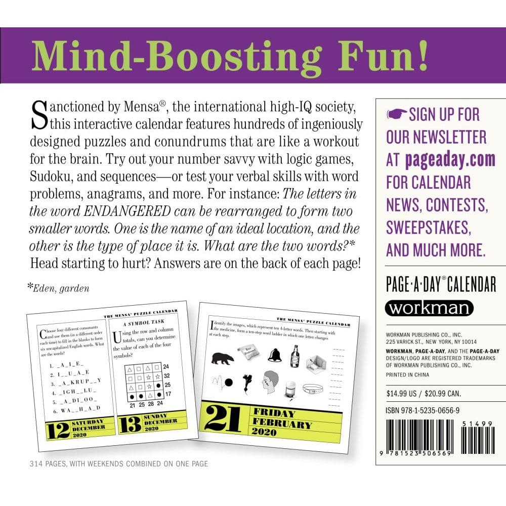 Mensa strategy essay 05 image