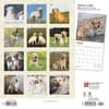 image Yellow Lab Retriever 2024 Wall Calendar First Alternate Image width=&quot;1000&quot; height=&quot;1000&quot;