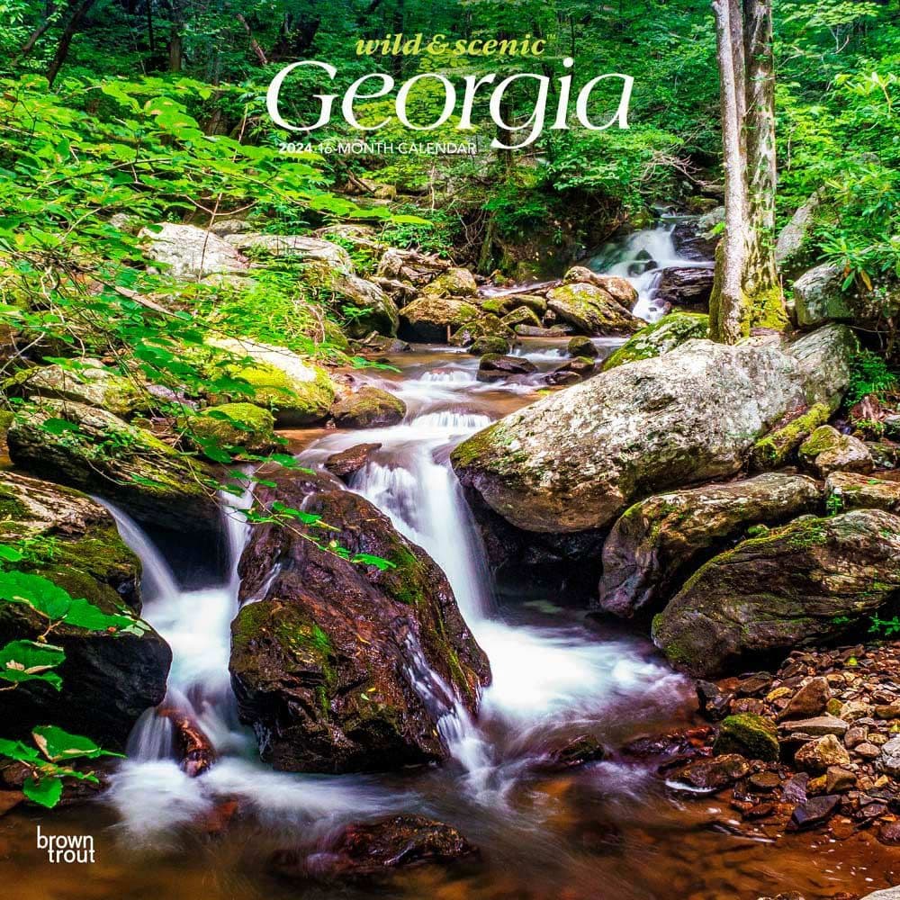 Georgia Wild And Scenic 2024 Wall Calendar Calendars Com   164d8e4a 1519 4c10 A938 A014a328a3d1