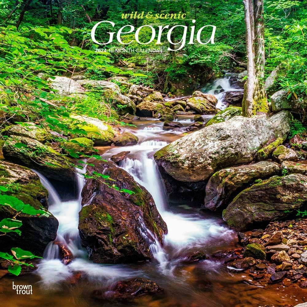 Georgia Wild and Scenic 2024 Wall Calendar Main Product Image width=&quot;1000&quot; height=&quot;1000&quot;