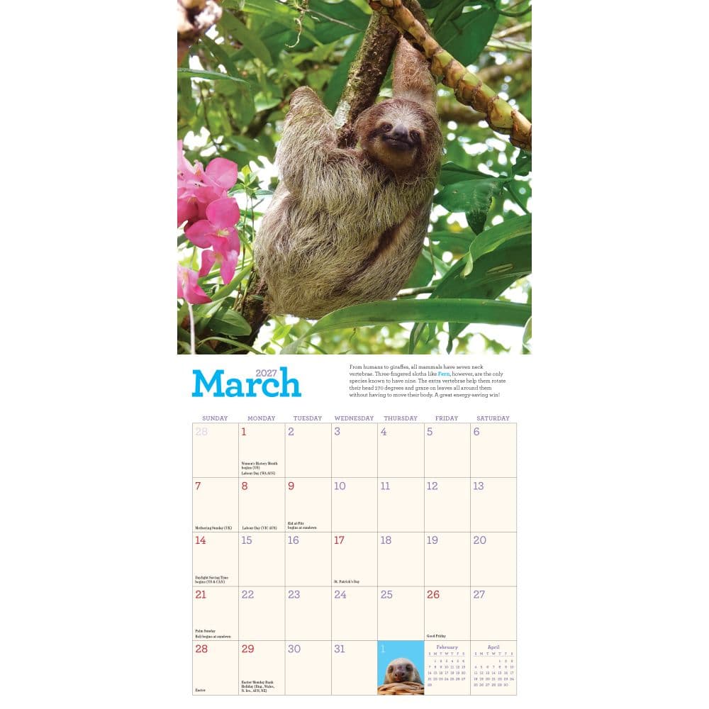 Sloths 2027 Mini Wall Calendar Second Alternate Image