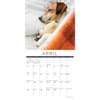 image Naptime Dogs Special Value 2026 Wall Calendar Second Alternate Image