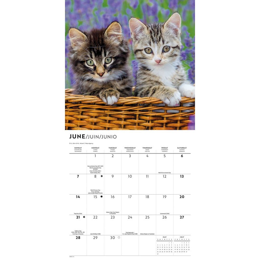 Love of Kittens 2026 Mini Wall Calendar Third Alternate Image