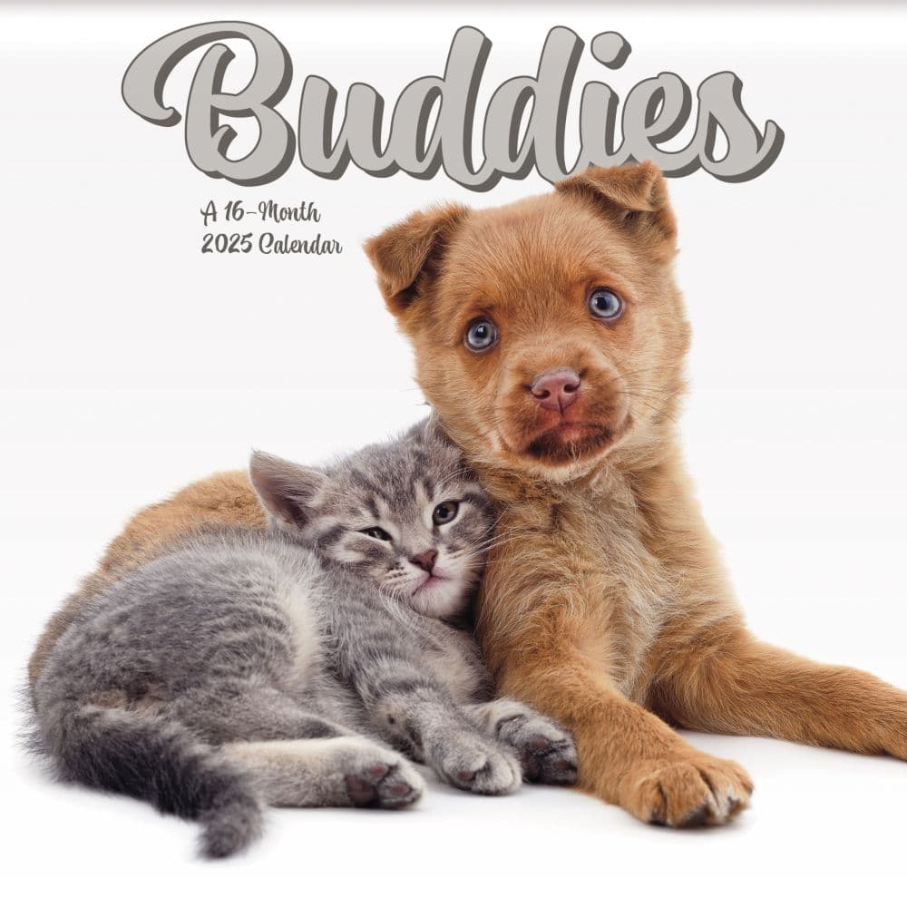 Buddies 2025 Mini Wall Calendar Main Product Image width=&quot;1000&quot; height=&quot;1000&quot;