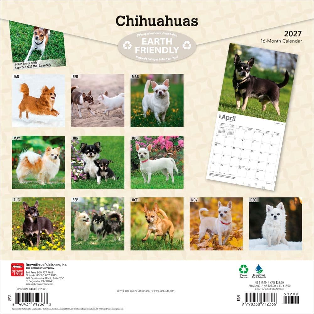 Chihuahuas 2027 Wall Calendar First Alternate Image