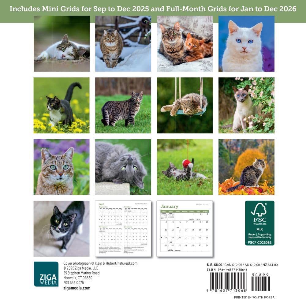Cats 2026 Mini Wall Calendar First Alternate image