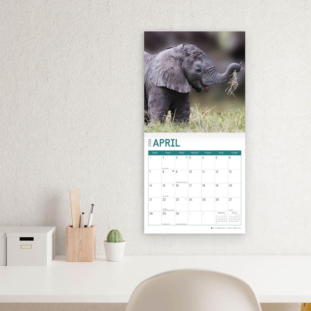 Baby Elephants 2024 Wall Calendar Sixth Alternate Image width=&quot;1000&quot; height=&quot;1000&quot;