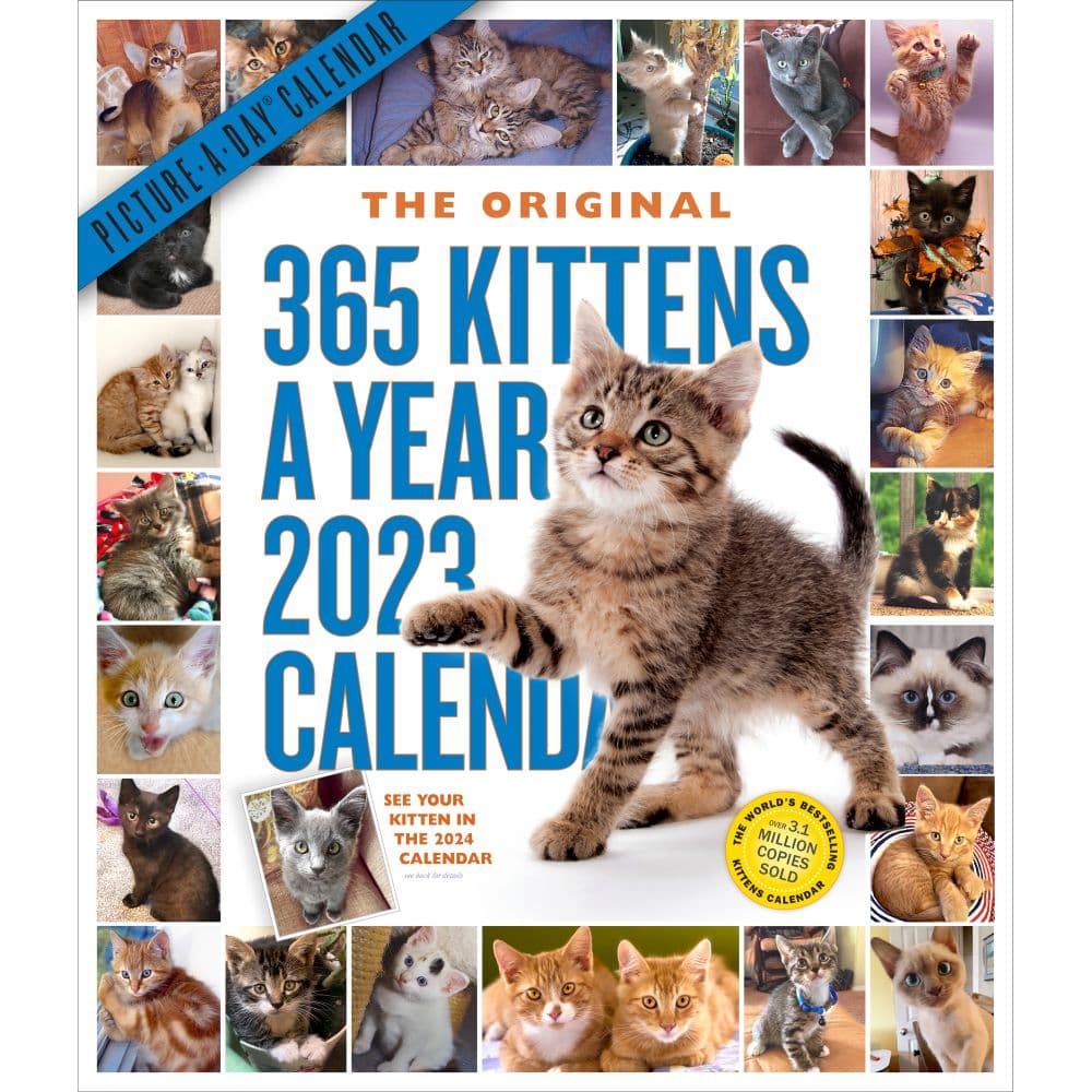 Workman Publishing Kittens 365 Days 2023 Wall Calendar