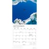 image Skiing 2026 Wall Calendar Third Alternate Image