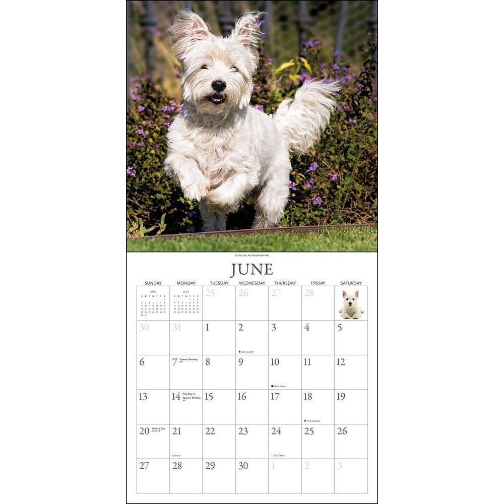 Westies Wall Calendar