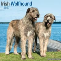 image Irish Wolfhound 2027 Wall Calendar Main Product Image