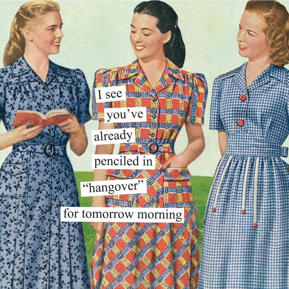Anne Taintor 2027 Wall Calendar Third Alternate Image
