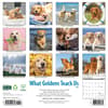 image What Goldens Teach Us 2025 Wall Calendar