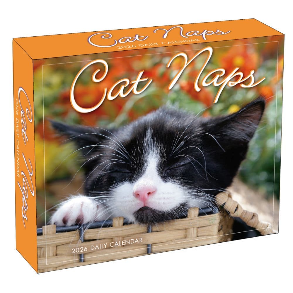 Cat Naps 2026 Desk Calendar Main Product Image