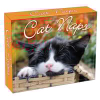 image Cat Naps 2026 Desk Calendar Main Product Image