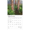 image National Parks Foil 2026 Mini Wall Calendar
