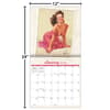 image Pin Up 2025 Wall Calendar