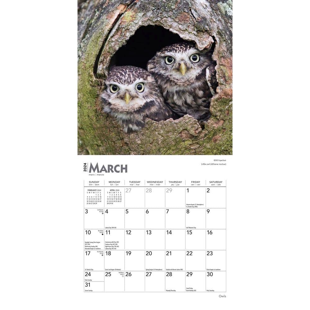 Owls 2024 Mini Wall Calendar Second Alternate Image width=&quot;1000&quot; height=&quot;1000&quot;