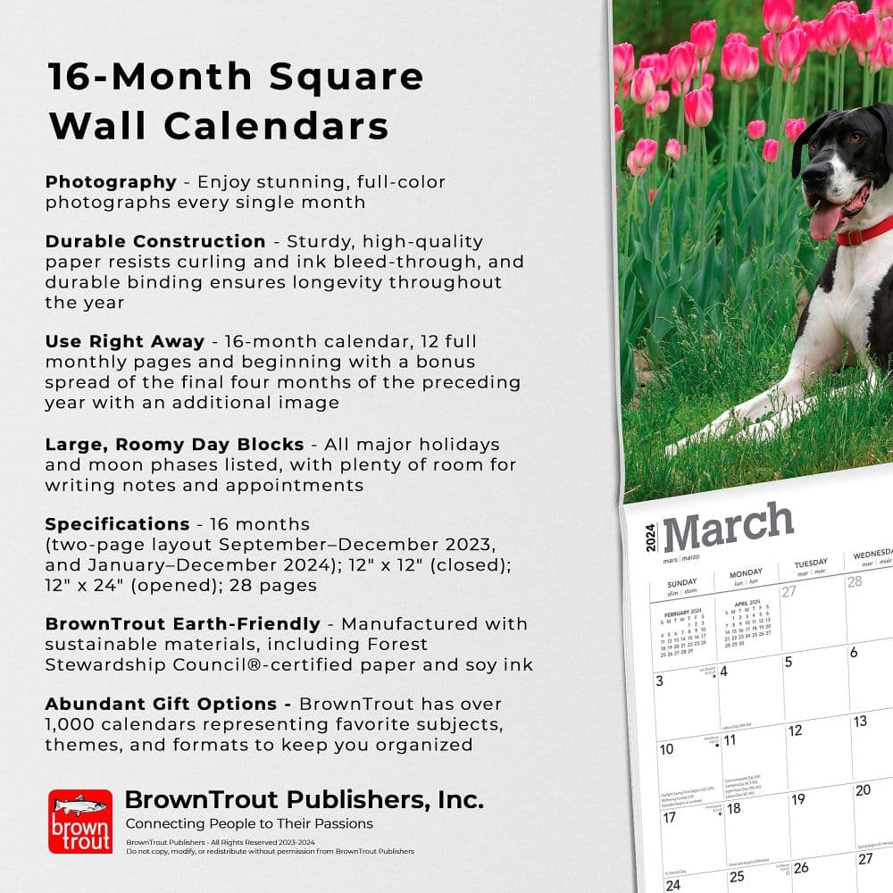 Great Danes 2024 Wall Calendar Fourth Alternate Image width=&quot;1000&quot; height=&quot;1000&quot;